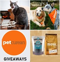 Petcurean Sweepstakes Dog & Cat Food Giveaways. #Petcurean Contest: Win FREE #PetFood