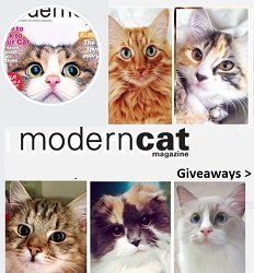 new Giveaways from Modern Cat Magazine, win great prizes for your feline