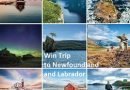 Win a Vacation to Newfoundland and Labrador!