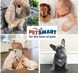Petsmart Canada giveaways: win prizes on instagram and facebook