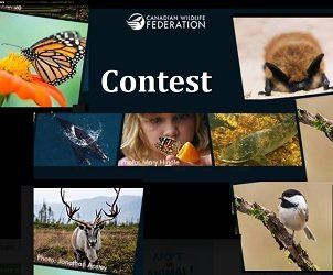 2Canadian Wildlife Federation (CWF) Below Zero Contest