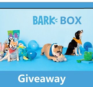 Barkbox Sweepstakes Win Bark box toys for your Dog