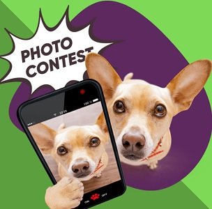 Toronto Humane Society Contest Pet Photo Calendar Giveaway