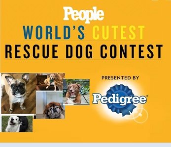 People Magazine Sweepstakes 2020 at people.com/worlds-cutest-rescue-dog-contest