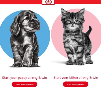 Royal Canin CA Contest: Start Strong - Win Puppy & Kitten Food For Year