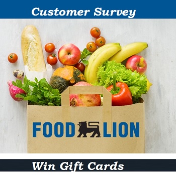 Enter TalktoFoodLion.com - Win $500 Grocery Sweepstakes