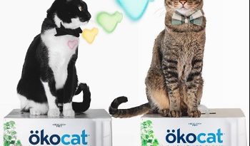 okocat Contest: Win ökocat litter For a Year Prize|Review Sweepstakes