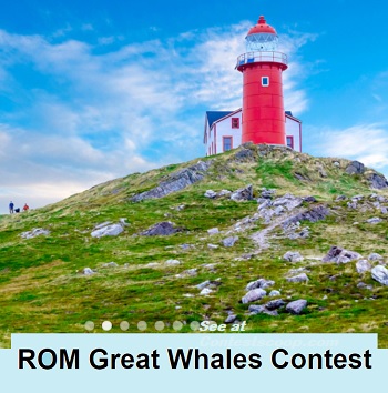 ROM Royal Ontario Museum Contest: Win a Whale Watching Trip