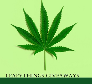 Leafythings Contest: Win $5,000 Monthly Prize