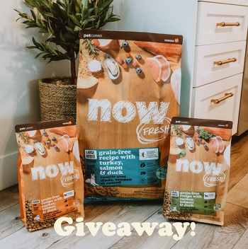 Now Fresh Pet Food Contest: Win Free Cat,Dog Food Giveaway