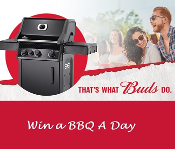 Budweiser CA BBQ a Day Contest: Enter Code to Win BBQ Summer Prize all summer long at budweiser.ca/bbaday