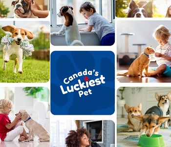 Pet Owners Canada Canadas Luckiest Pet Giveaway - Canadasluckiestpet.com