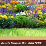 Miracle-Gro Contest: Win Mother’s Day Prize Packs ($500)