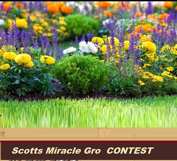 Scotts Canada Miracle-Gro Contest:  One Year supply of Scotts and Miracle-Gro products Giveaway