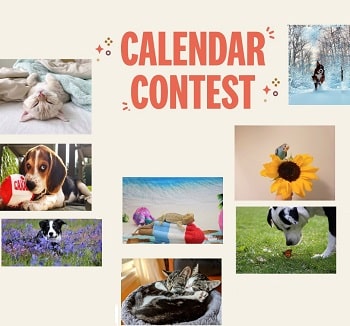 2023 Pet Valu Calendar Contest Win Gift Card & Your Pet's Photo in 2024  Pet Valu Companions for Change Calendar!
