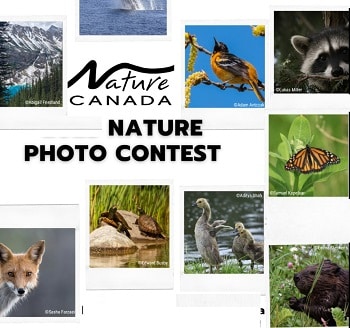 Nature Canada Photo Contest Enjoy Nature Contest - #NaturePhotoContest23 