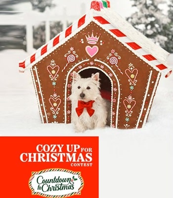 Wnetwork Cozy Up For Christmas Contest: Win Holiday Prizes, Code Words here