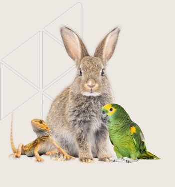 Hagen Canada  Anniersary Giveaway at hagen.com